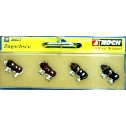 Zugochsen - N - 36603