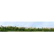 Modellhintergrund - H0 -- 180509